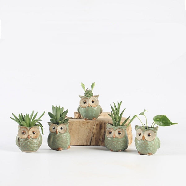 Mini Owl-shaped Flower Pots (5pcs)