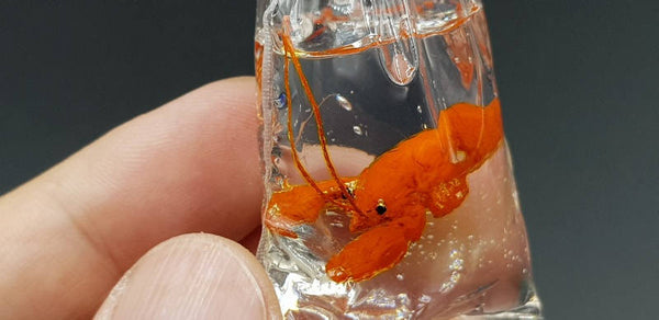 Miniature Lobster in Plastic Bag Orange