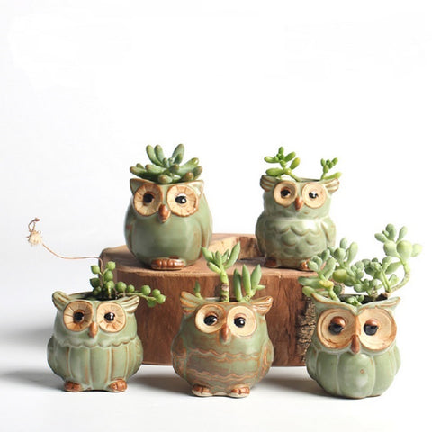 Mini owl shaped flower pots