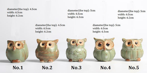 Mini Owl-shaped Flower Pots (5pcs)