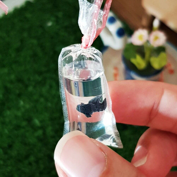 Miniature Goldfish in Plastic Bag