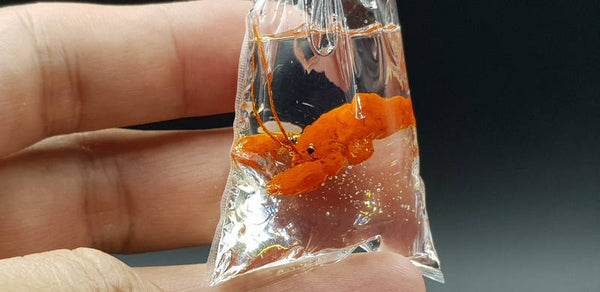 Dollhouse Miniature Lobster in Plastic Bag