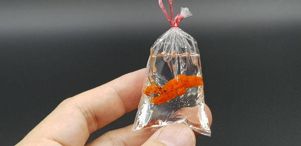Doll house Miniature Lobster in Plastic Bag