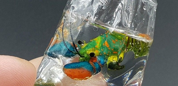 Dollhouse Miniature Lobster in Plastic Bag Multi Color